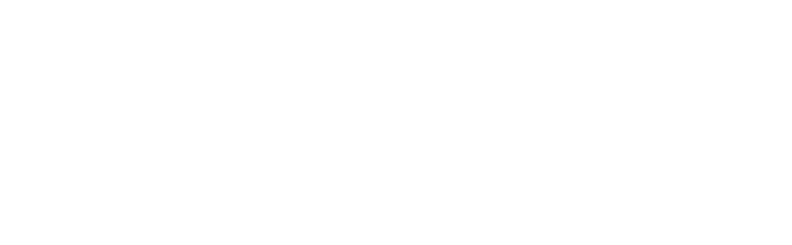 Acts29 Logo - white