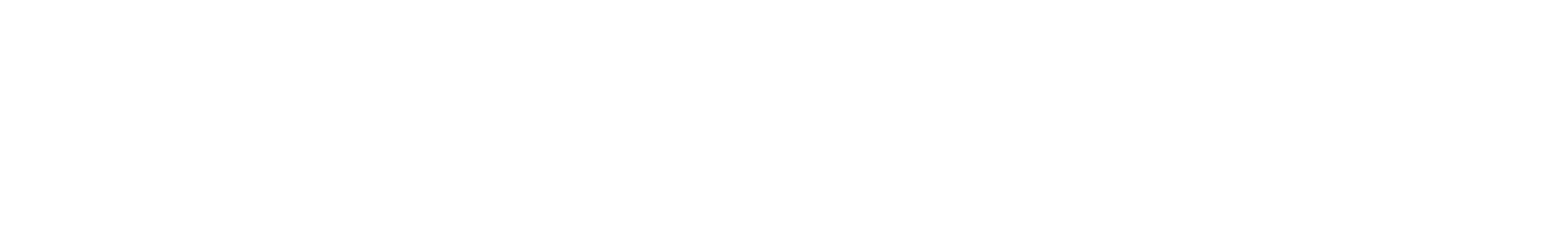 logo-higginbotham-white
